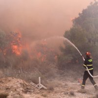 Požar kod Segeta Gornjeg