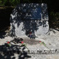 Srpsko narodno vijeće u Donjem Skradu