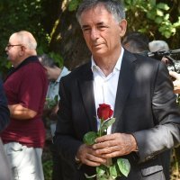 Srpsko narodno vijeće u Donjem Skradu