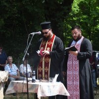 Srpsko narodno vijeće u Donjem Skradu