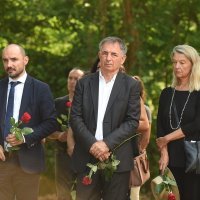 Srpsko narodno vijeće u Donjem Skradu