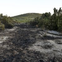 Požar u Segetu Gornjem