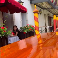 Maja Šuput u Veneciji