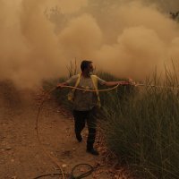 Požar na grčkom otoku Evia