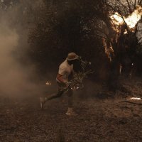 Požar na grčkom otoku Evia