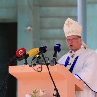 Obilježavanje Velike Gospe u Aljmašu