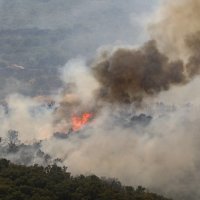 Požar blizu Saint Tropeza