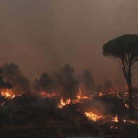 Požar kod Saint Tropeza