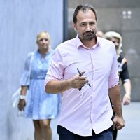 Dolazak članova Domovinskog pokreta na sjednice stranke