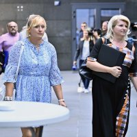 Dolazak članova Domovinskog pokreta na sjednice stranke