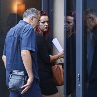 Dolazak članova Domovinskog pokreta na sjednice stranke