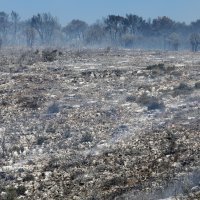 Požar na Hvaru pod kontrolom