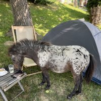 Blog Pedaliranje: Zagorje