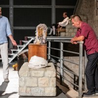 Premijera predstave 'Glava lava'