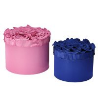 Ikeina kolekcija Karismatisk