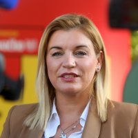 Nikola Brnjac na Danima piva