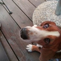 Nokia XR20 primjeri fotografija