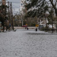 Poljedice uragana Ida u Louisiani