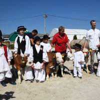 28. jesenski međunarodni sajam i 28. državna stočarska izložba u Gudovcu