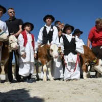 28. jesenski međunarodni sajam i 28. državna stočarska izložba u Gudovcu