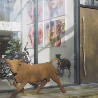 Novi dom Cristiana Ronalda