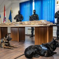 U Luci Ploče u travnju je zaplijenjeno više od pola tone kokaina