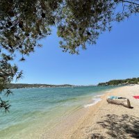 Olivia Green Camping