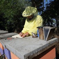 Pčelar Stanko Čuljak