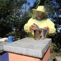 Pčelar Stanko Čuljak