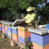 Pčelar Stanko Čuljak