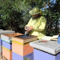 Pčelar Stanko Čuljak