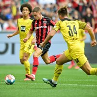 Bayer L. - Borussia D