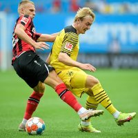 Bayer L. - Borussia D