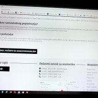 Online popis stanovništva