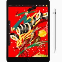 iPad 10.2 inča