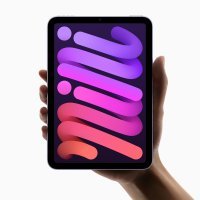 Apple iPad Mini