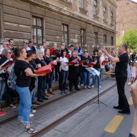 Projekt Ilica Q'art 2020