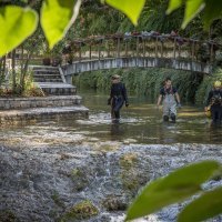 Čišćenje Žrnovnice