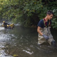 Čišćenje Žrnovnice