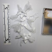 Zapljena droge u Zagrebu