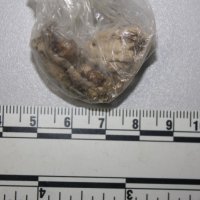 Zapljena droge u Zagrebu