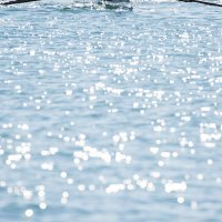 Veslačka regata u Splitu