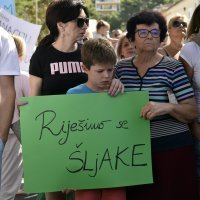 Mirni prosvjed u Dugom Ratu