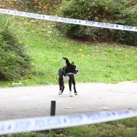 Policijski očevid na Trnju