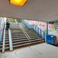 Pothodnik u Savskom Gaju