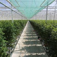 Precizna poljoprivreda na Belju