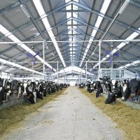 Precizna poljoprivreda na Belju