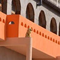 Hram Sri Sri Radha Gopinath u Puli kojem živi obitelj preminulog dječaka