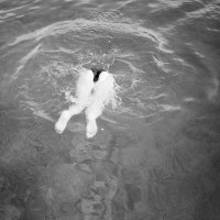 Fotografija Alme Drnovac