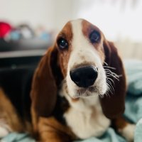 iPhone 13 Pro primjeri fotografija